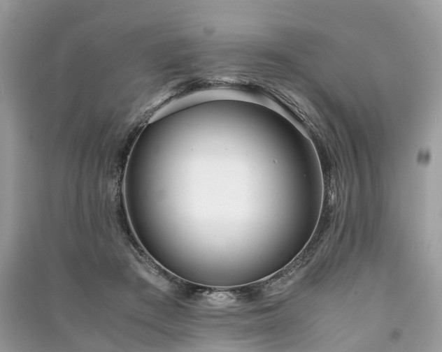 X0000090990409200708091523