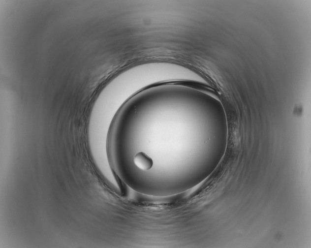 X0000090990411200708091523