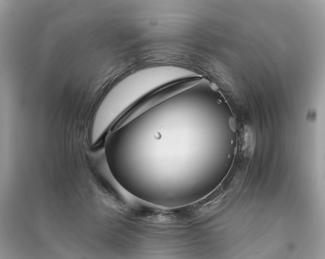 X0000090990412200708091523