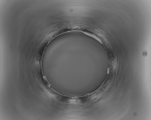 X0000090990415200708091523