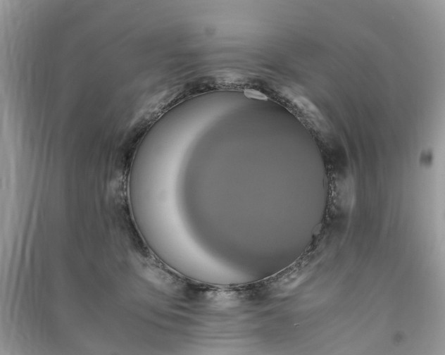 X0000090990419200708091523