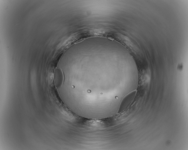 X0000090990427200708091523