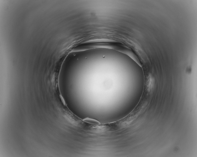 X0000090990428200708091523