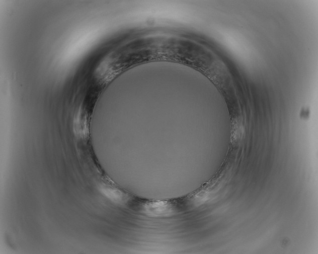 X0000090990431200708091523