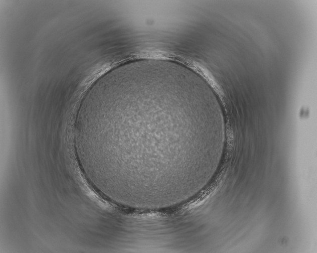 X0000090990433200708091522