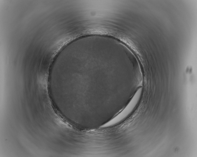 X0000090990434200708091522