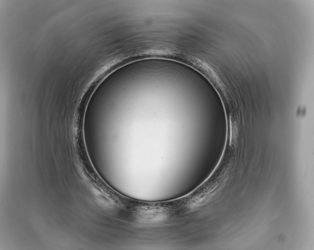 X0000090990435200708091522