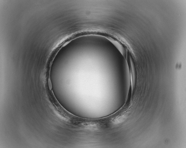 X0000090990436200708091522