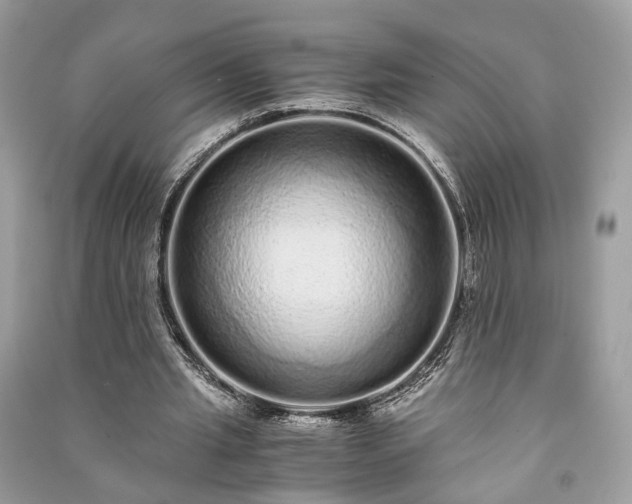 X0000090990437200708091522