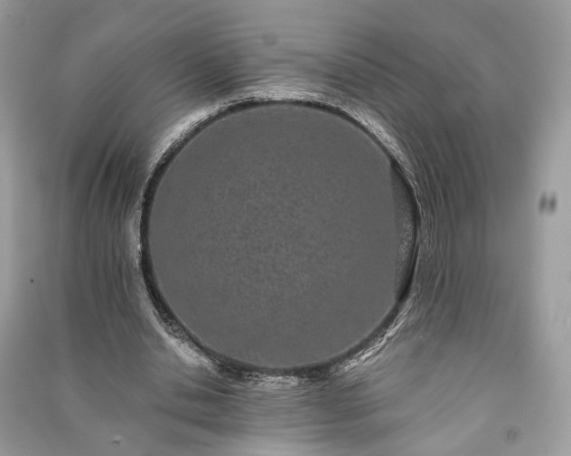 X0000090990438200708091522