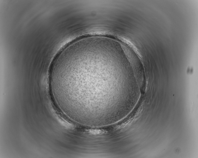 X0000090990439200708091522