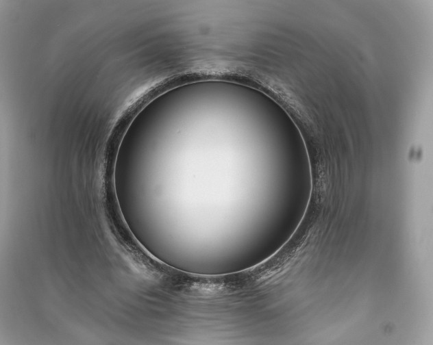 X0000090990440200708091522