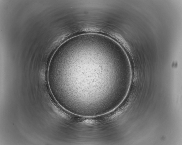 X0000090990441200708091522