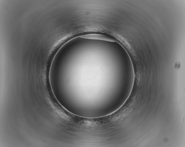 X0000090990442200708091522