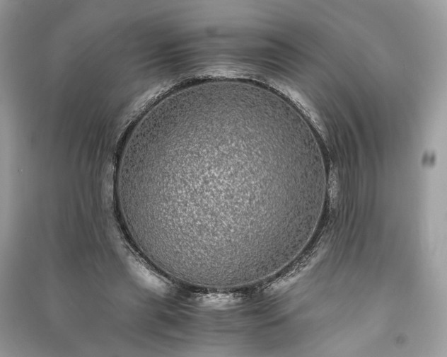 X0000090990445200708091522