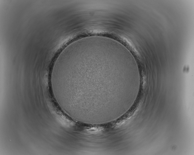 X0000090990447200708091522