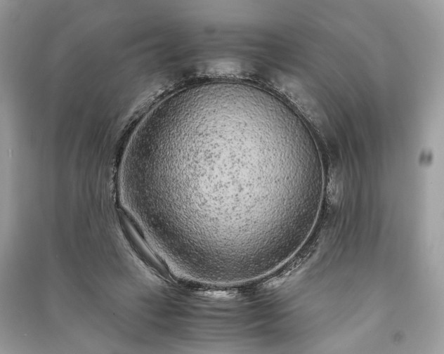 X0000090990449200708091522