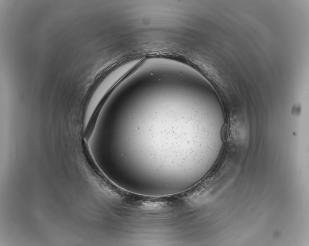 X0000090990450200708091522