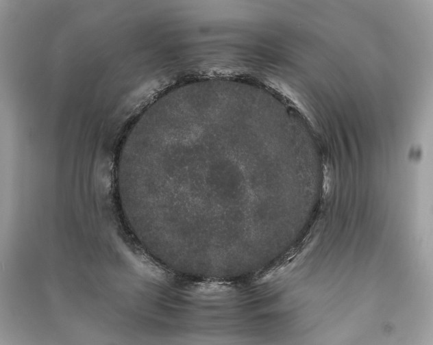 X0000090990451200708091522