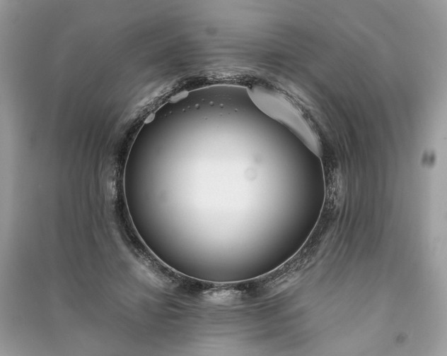 X0000090990452200708091522