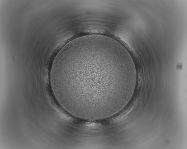 X0000090990453200708091522