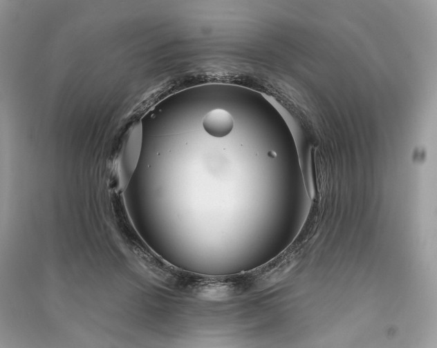 X0000090990456200708091522