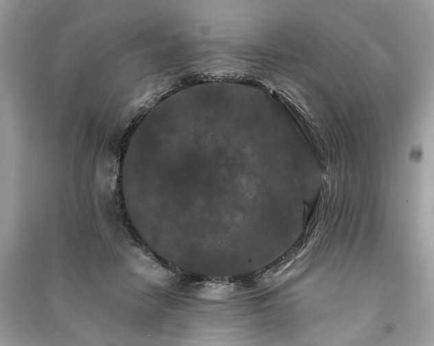 X0000090990458200708091522