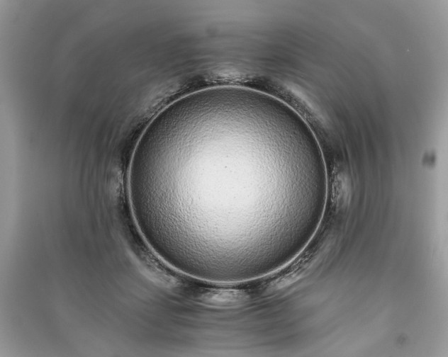 X0000090990459200708091522