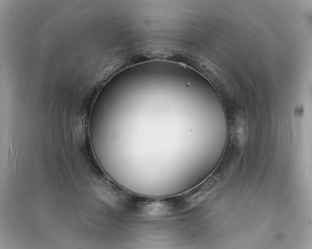 X0000090990460200708091522