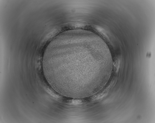 X0000090990462200708091522