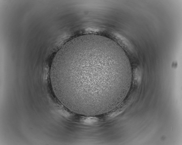 X0000090990463200708091522