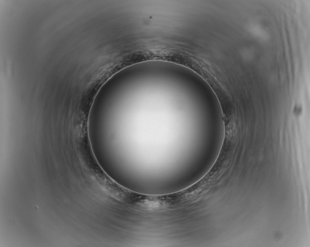 X0000090990464200708091522