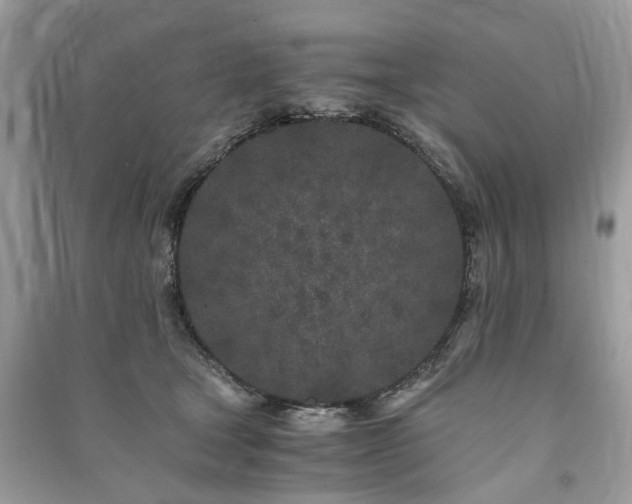 X0000090990465200708091522