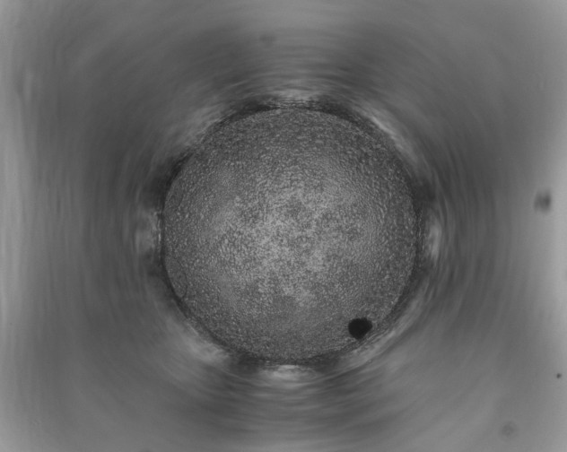 X0000090990467200708091522