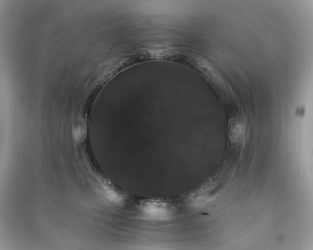 X0000090990471200708091523