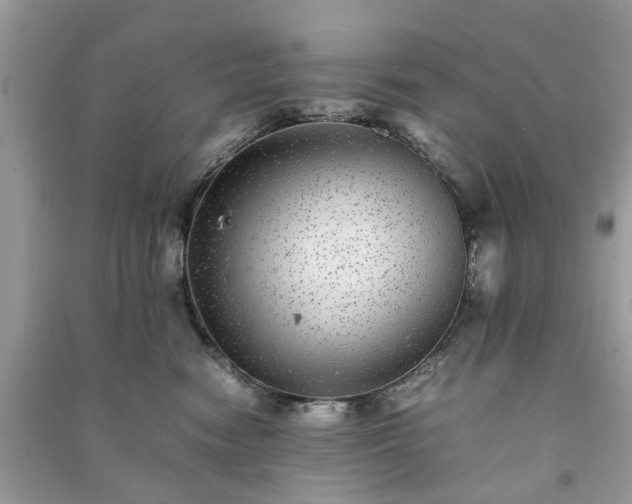 X0000090990474200708091523