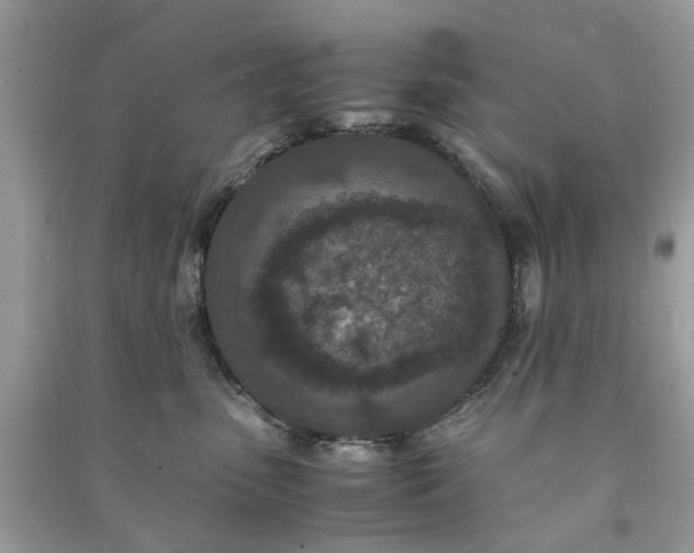 X0000090990475200708091523