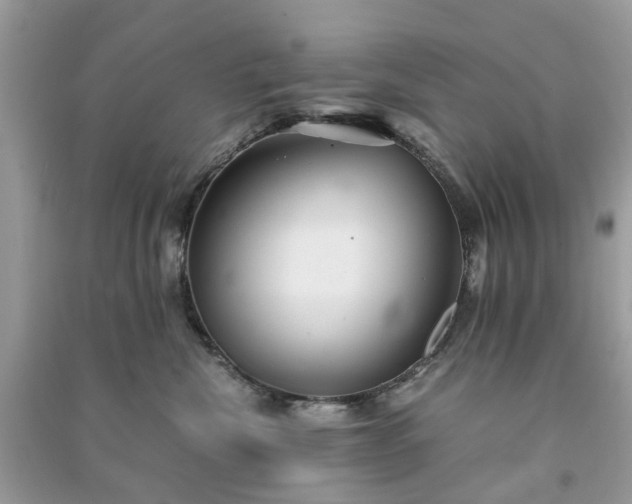 X0000090990476200708091523