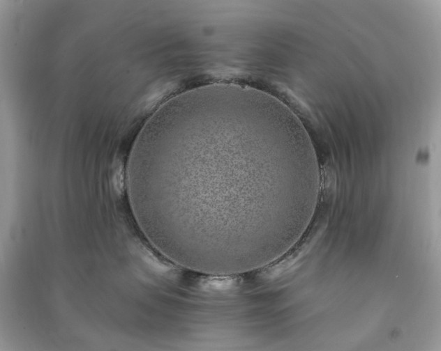 X0000090990479200708091523