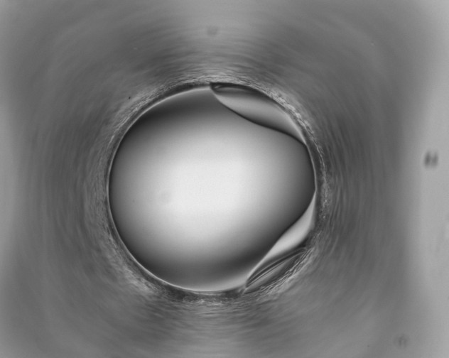 X0000090990481200708091522