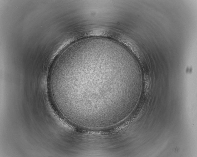 X0000090990482200708091522