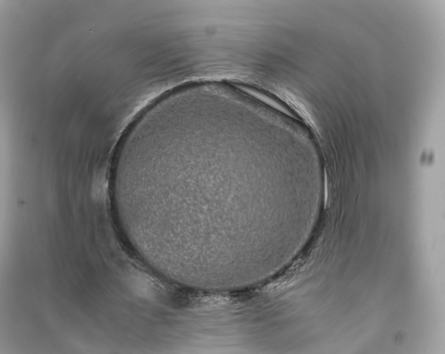 X0000090990483200708091522