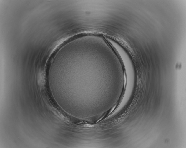 X0000090990484200708091522