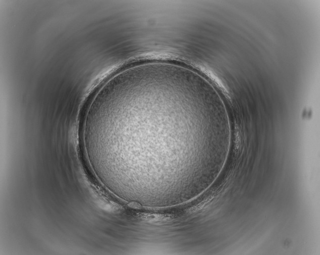 X0000090990486200708091522