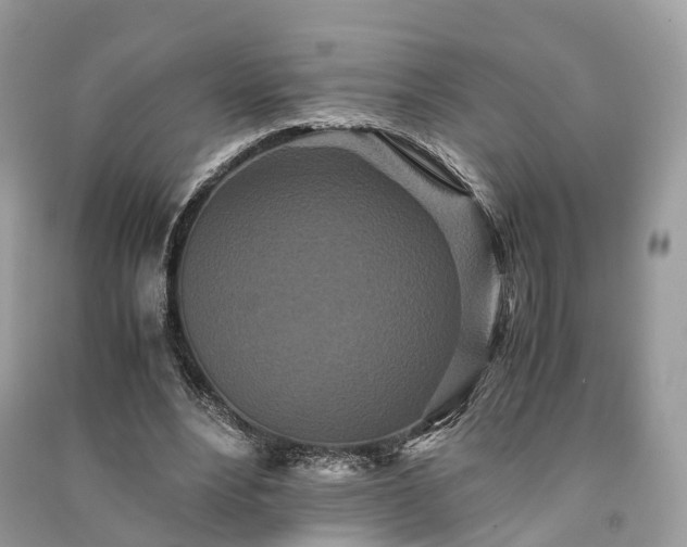 X0000090990488200708091522