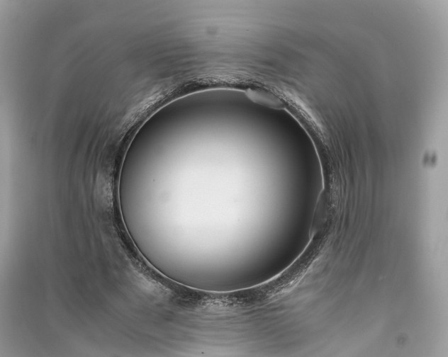 X0000090990489200708091522