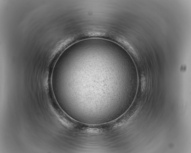 X0000090990490200708091522