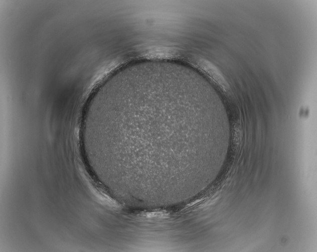 X0000090990491200708091522