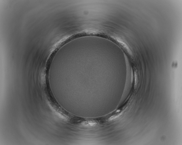 X0000090990492200708091522