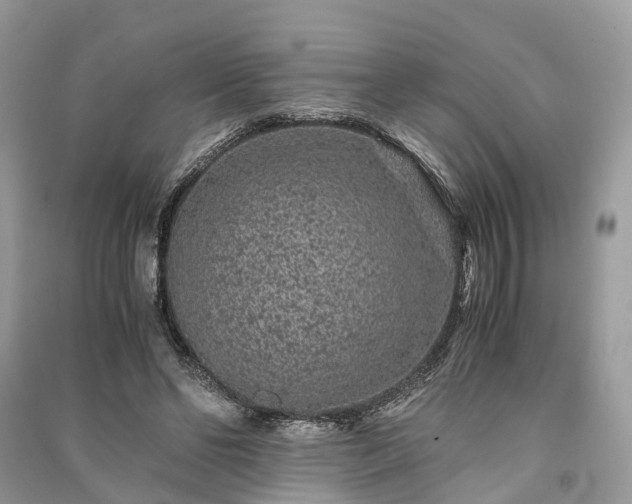 X0000090990494200708091522